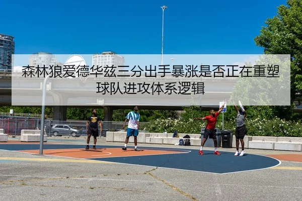 森林狼爱德华兹三分出手暴涨是否正在重塑球队进攻体系逻辑